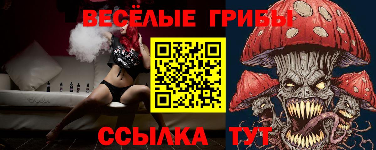 Галлюциногенные грибы Cubensis Вышний Волочёк